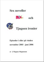 Sex noveller och tjugoen ironier - Magnusson