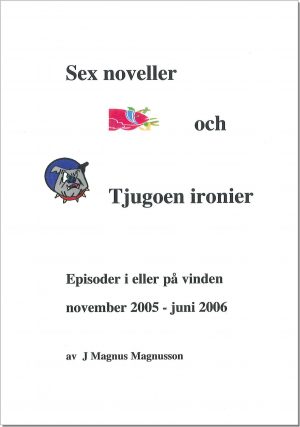Sex noveller och tjugoen ironier - Magnusson