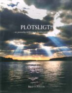 Plötsligt! En personlig skildring av krishantering i vardagen