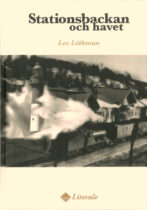 Stationsbackan och havet