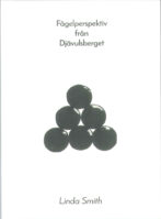 Fågelperspektiv från Djävulsberget