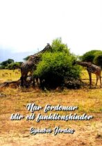 När fördomar blir ett funktionshinder