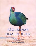 Fåglarnas hemligheter - framsida