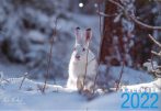 Niclas Nordlund kalender 2022 framsida