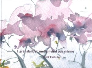 I gränslandet mellan vind och minne